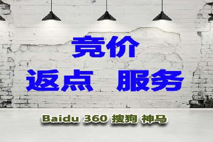 行业领先企业的SEM竞价代运营成功案例揭秘